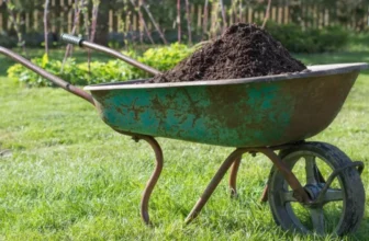 What Are the Advantages of Using Compost on Your Lawn?