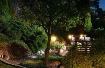 What Are the Best Ways to Illuminate Your Garden?