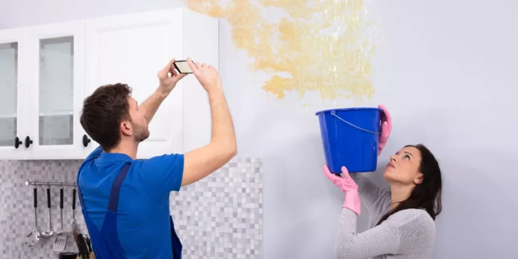 Protecting Your Kitchen From Water Damage and Mold Protecting Your Kitchen From Water Damage and Mold