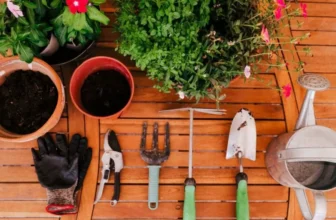 What Are the Best Indoor Gardening Tools?