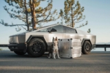 How Do You Pick the Right Dog Crate for Travel?